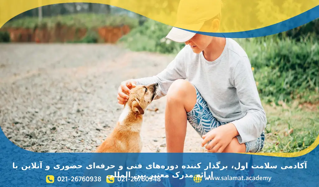 راهکارهای آموزش مهربانی با حیوانات به کودکان بر اساس سن و نیازهای خاص