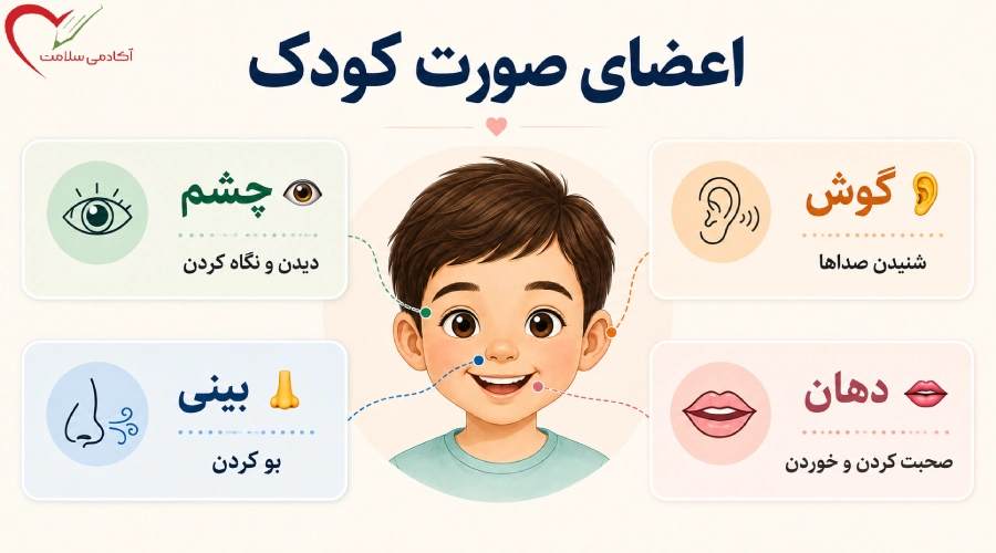 آموزش اعضای صورت به کودک