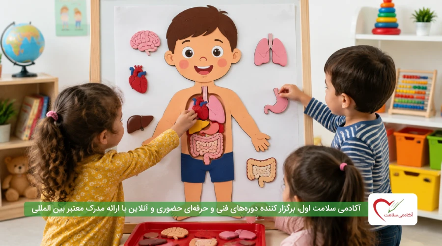 آموزش اعضای داخلی بدن به کودکان