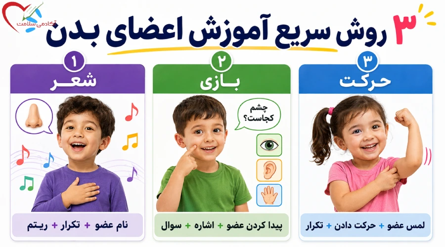 ۳ روش سریع آموزش اعضای بدن